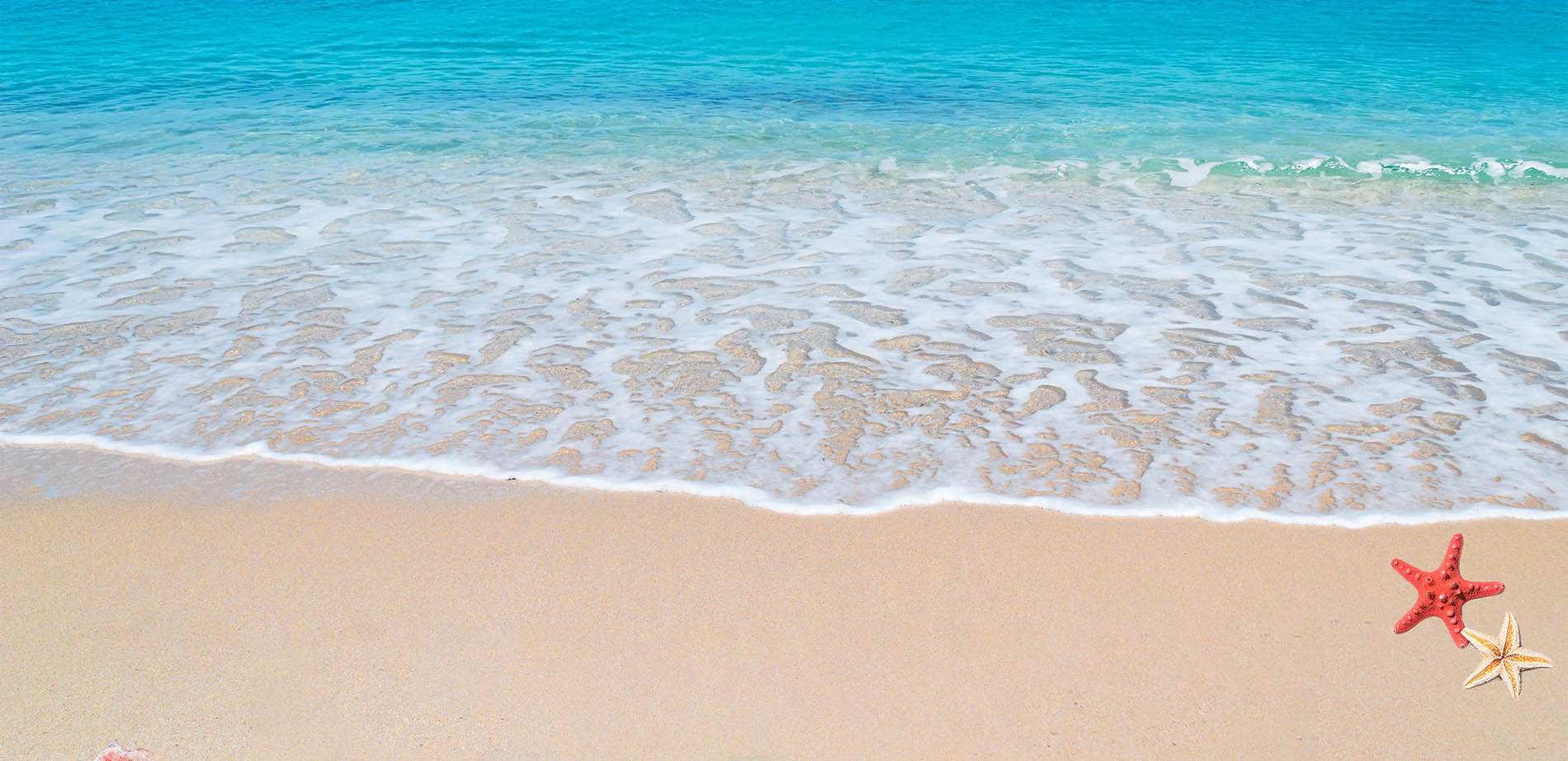 A small stretch of sand along a shoreline