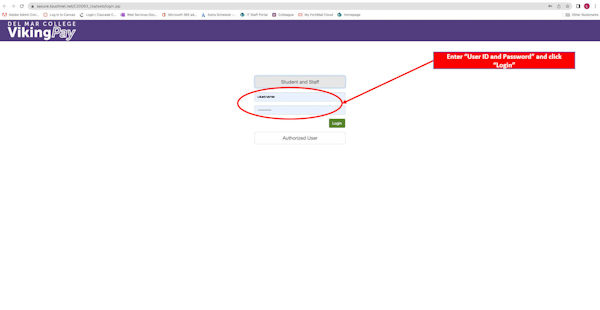 Viking Pay window with "Username and Password" boxes circled