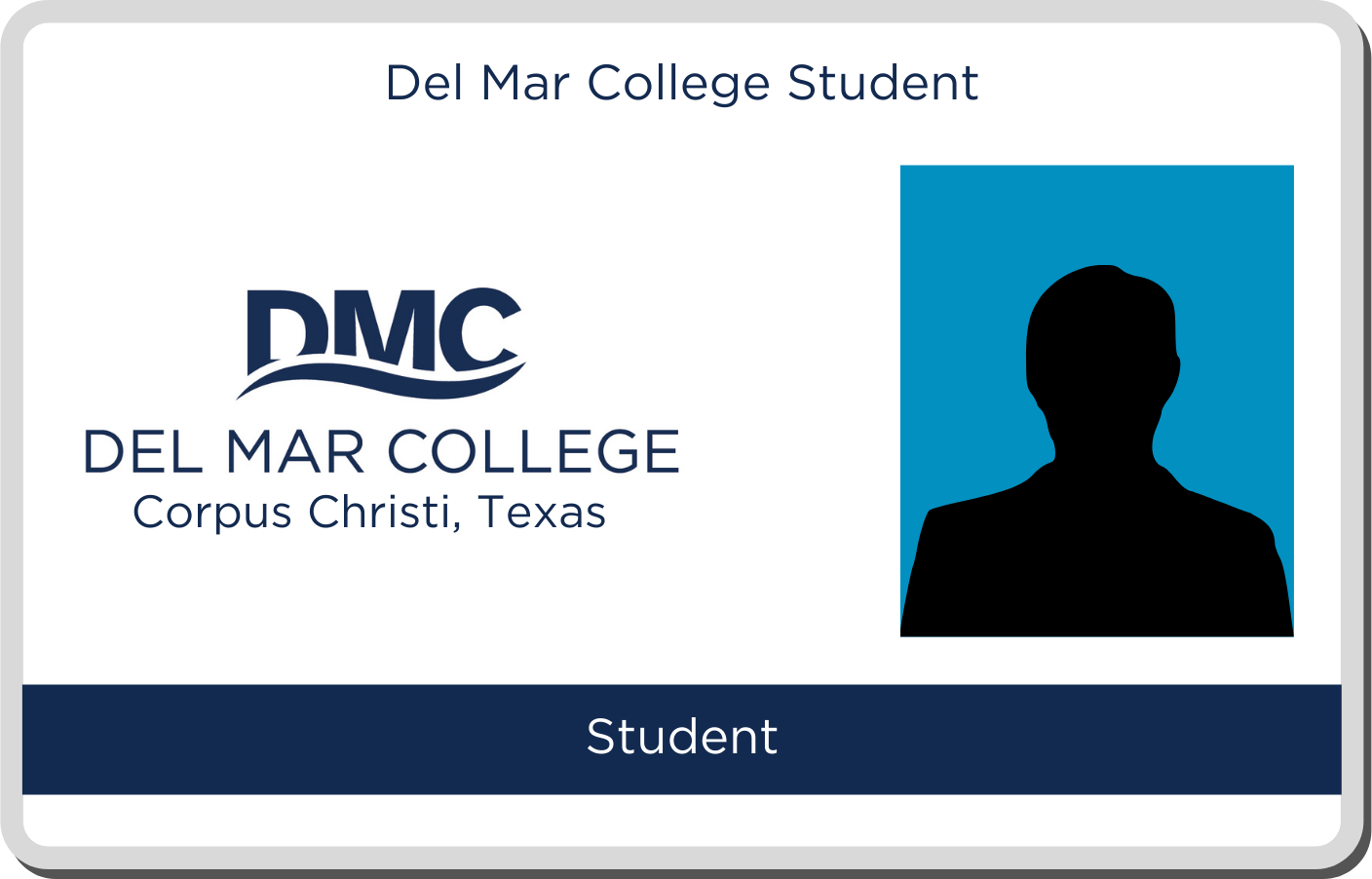 DMC Identification Card graphic
