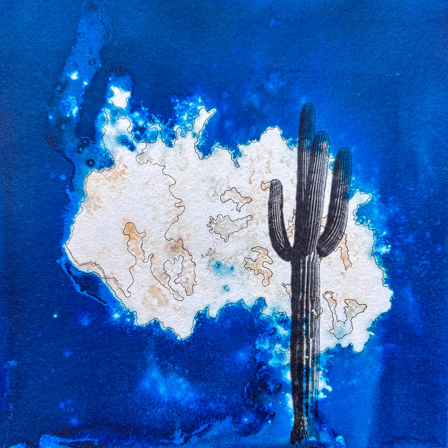 blue cyanotype with collage photograph of a cactus